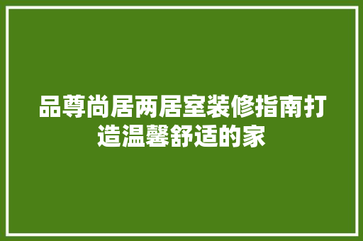 品尊尚居两居室装修指南打造温馨舒适的家