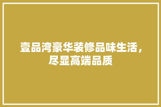 壹品湾豪华装修品味生活，尽显高端品质