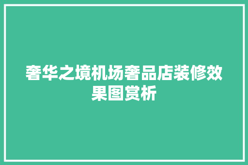奢华之境机场奢品店装修效果图赏析