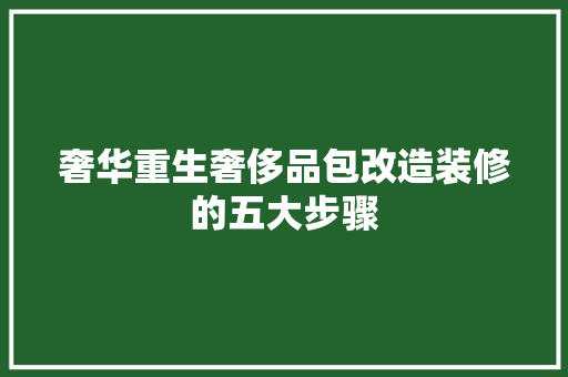 奢华重生奢侈品包改造装修的五大步骤