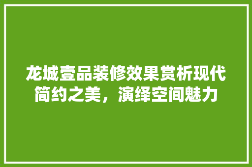 龙城壹品装修效果赏析现代简约之美，演绎空间魅力