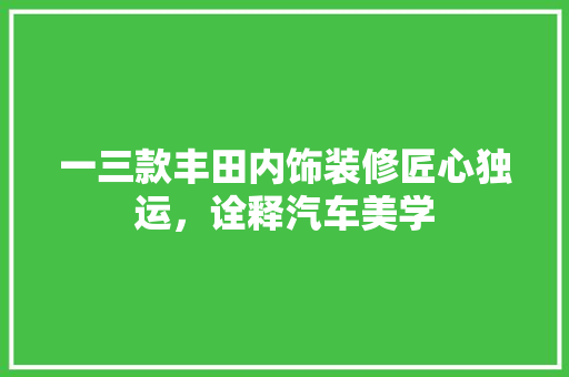 一三款丰田内饰装修匠心独运，诠释汽车美学 常用设备