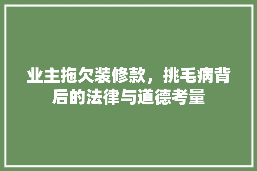业主拖欠装修款，挑毛病背后的法律与道德考量