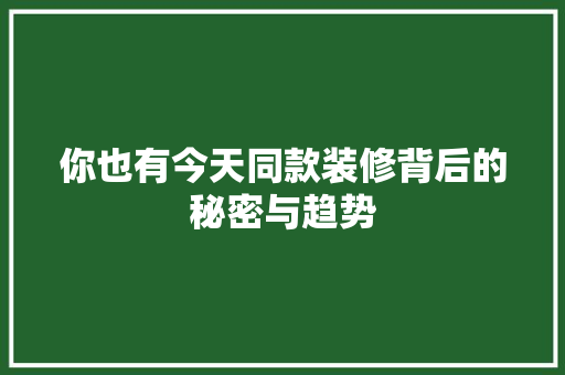 你也有今天同款装修背后的秘密与趋势