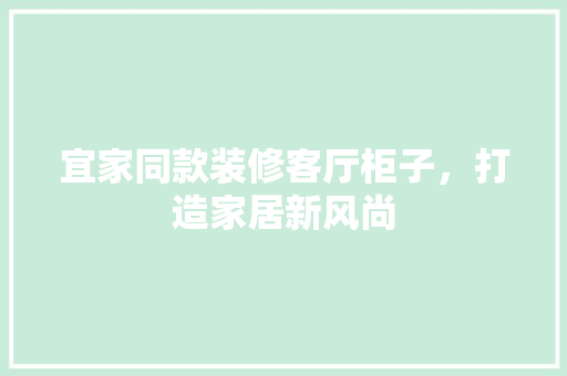 宜家同款装修客厅柜子，打造家居新风尚