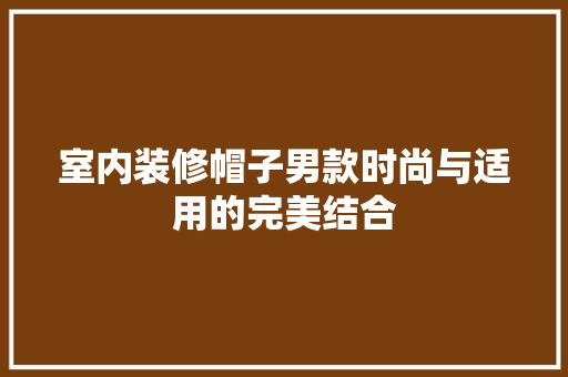 室内装修帽子男款时尚与适用的完美结合 常用设备