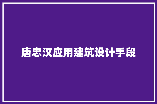 唐忠汉应用建筑设计手段 常见问题