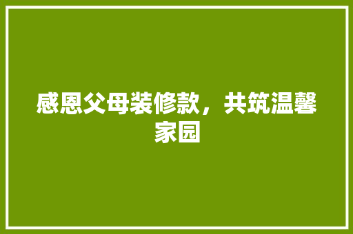 感恩父母装修款，共筑温馨家园