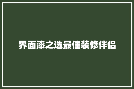 界面漆之选最佳装修伴侣