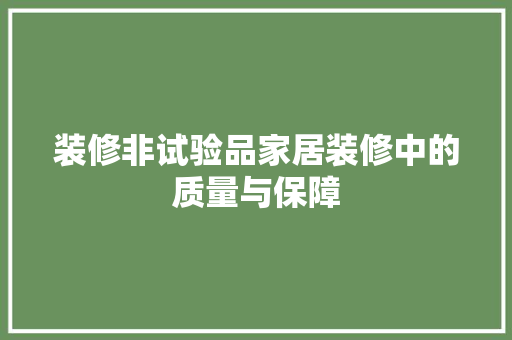 装修非试验品家居装修中的质量与保障