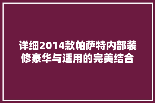 详细2014款帕萨特内部装修豪华与适用的完美结合