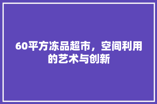 60平方冻品超市，空间利用的艺术与创新