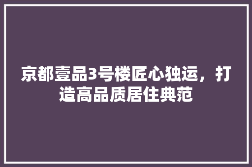 京都壹品3号楼匠心独运，打造高品质居住典范 施工工艺