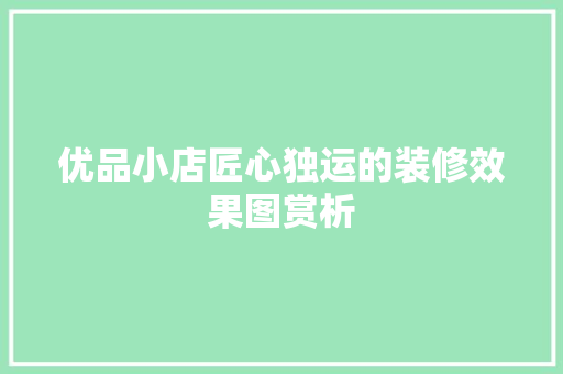 优品小店匠心独运的装修效果图赏析