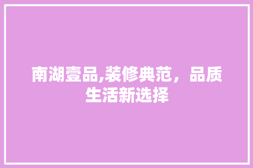 南湖壹品,装修典范，品质生活新选择
