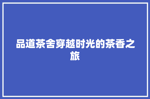 品道茶舍穿越时光的茶香之旅