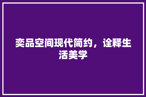 奕品空间现代简约，诠释生活美学
