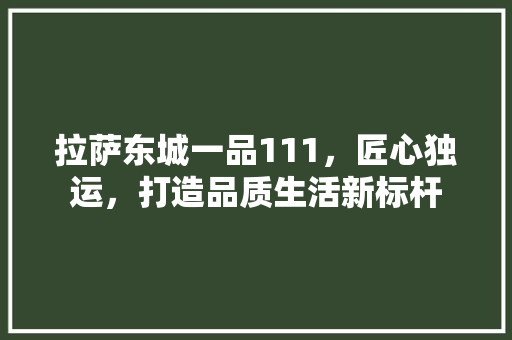拉萨东城一品111，匠心独运，打造品质生活新标杆
