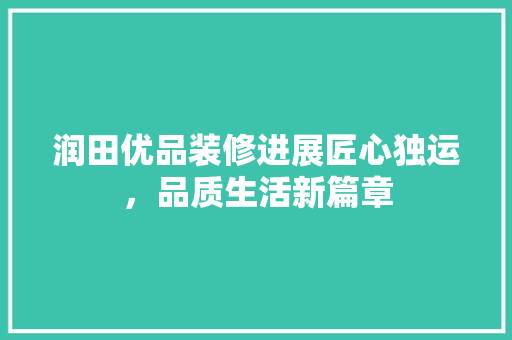 润田优品装修进展匠心独运，品质生活新篇章