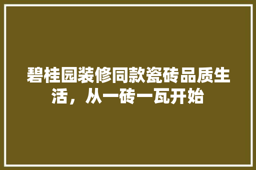 碧桂园装修同款瓷砖品质生活，从一砖一瓦开始