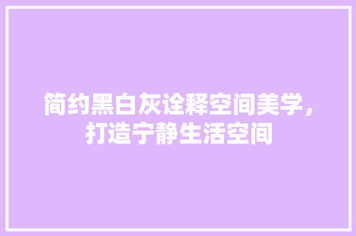 简约黑白灰诠释空间美学，打造宁静生活空间
