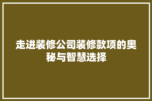 走进装修公司装修款项的奥秘与智慧选择