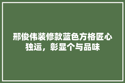 邢俊伟装修款蓝色方格匠心独运，彰显个与品味