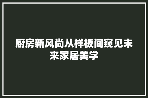厨房新风尚从样板间窥见未来家居美学 施工技术