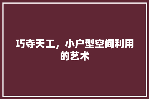巧夺天工，小户型空间利用的艺术