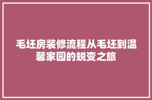 毛坯房装修流程从毛坯到温馨家园的蜕变之旅