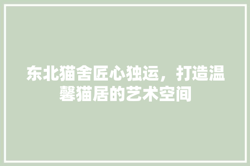 东北猫舍匠心独运，打造温馨猫居的艺术空间 施工工艺