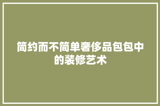 简约而不简单奢侈品包包中的装修艺术