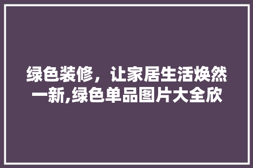 绿色装修，让家居生活焕然一新,绿色单品图片大全欣赏