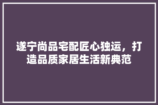 遂宁尚品宅配匠心独运，打造品质家居生活新典范 公共建筑设计