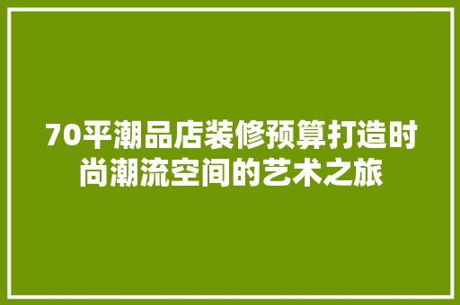 70平潮品店装修预算打造时尚潮流空间的艺术之旅