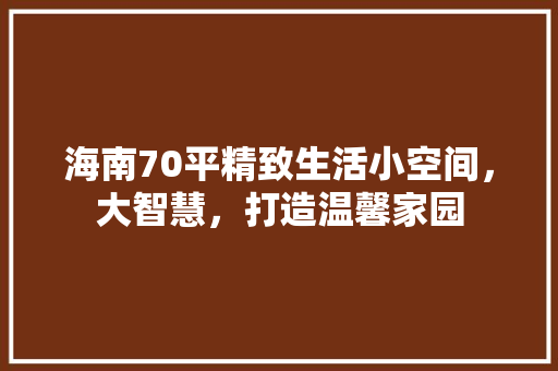 海南70平精致生活小空间，大智慧，打造温馨家园 设计原则
