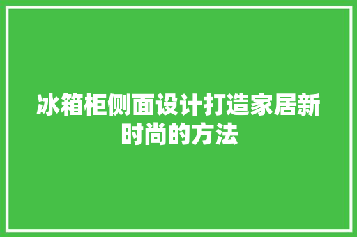 冰箱柜侧面设计打造家居新时尚的方法