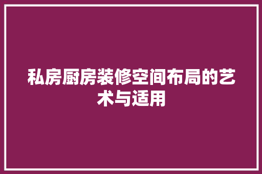 私房厨房装修空间布局的艺术与适用 施工管理
