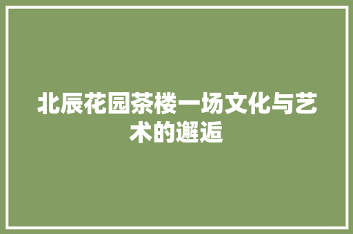 北辰花园茶楼一场文化与艺术的邂逅 施工工艺