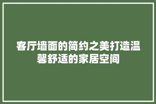 客厅墙面的简约之美打造温馨舒适的家居空间
