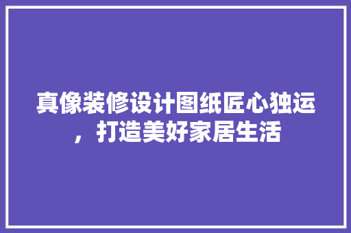 真像装修设计图纸匠心独运，打造美好家居生活