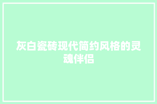 灰白瓷砖现代简约风格的灵魂伴侣