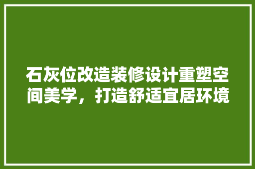 石灰位改造装修设计重塑空间美学，打造舒适宜居环境 施工管理