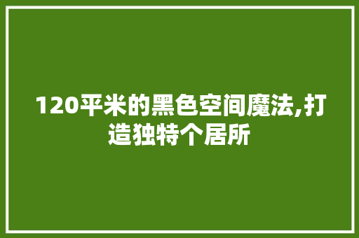 120平米的黑色空间魔法,打造独特个居所