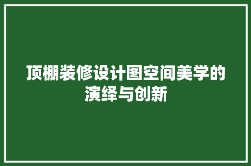 顶棚装修设计图空间美学的演绎与创新 施工管理