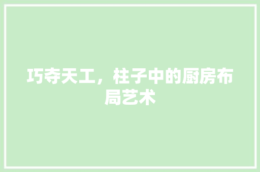 巧夺天工，柱子中的厨房布局艺术 常用建材