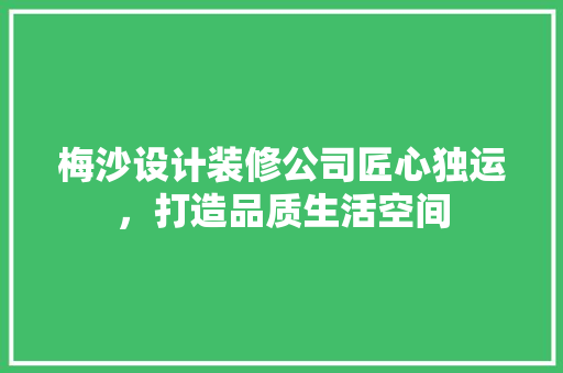 梅沙设计装修公司匠心独运，打造品质生活空间 施工管理