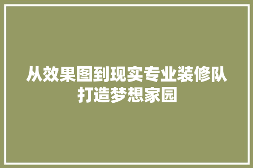从效果图到现实专业装修队打造梦想家园 材料设备