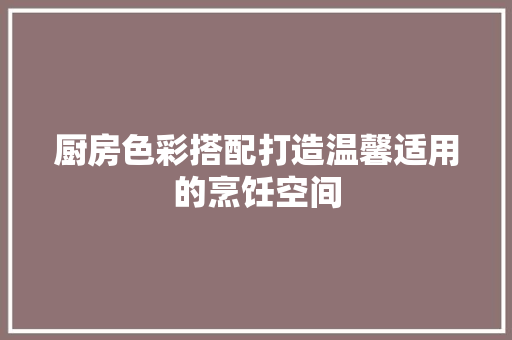 厨房色彩搭配打造温馨适用的烹饪空间 常用设备