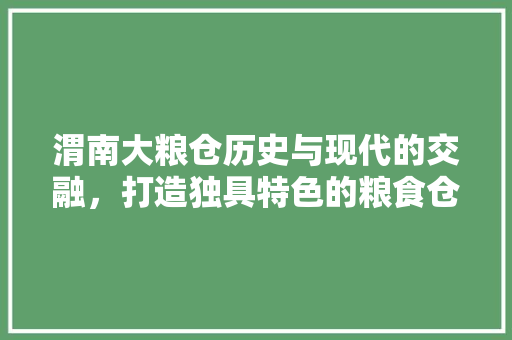 渭南大粮仓历史与现代的交融，打造独具特色的粮食仓储典范